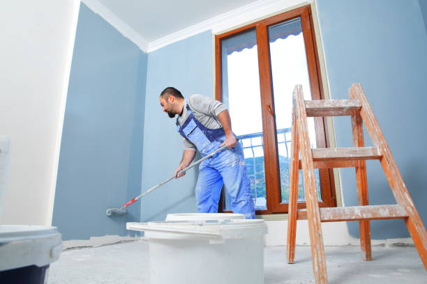 Professional Mold Removal in Flora Vista, NM