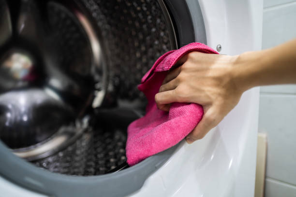Best Mold Damage Restoration  in Flora Vista, NM